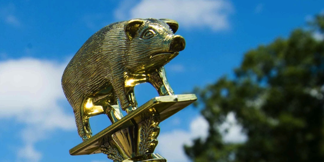 Sky Pig 3